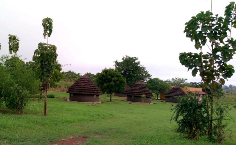 Grassroots Cottages Murchsion Falls Purongo Exterior foto