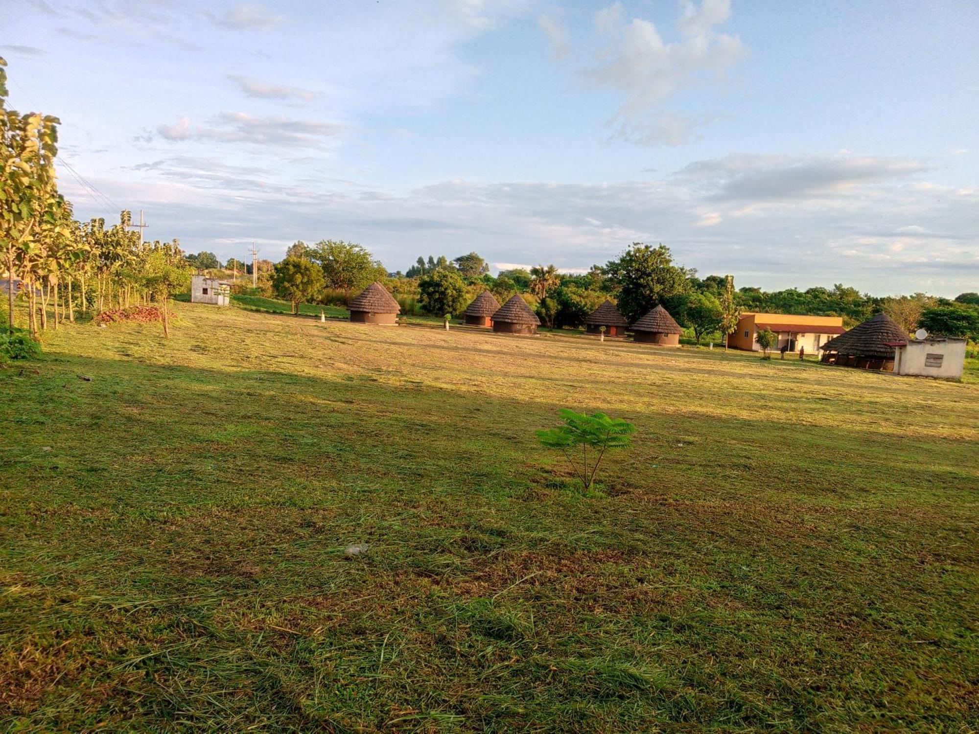 Grassroots Cottages Murchsion Falls Purongo Exterior foto